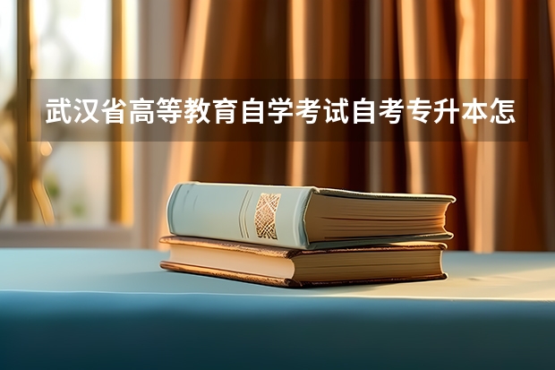 武汉省高等教育自学考试自考专升本怎么报名？报考流程是什么？