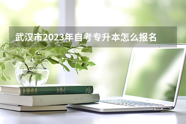 武汉市2023年自考专升本怎么报名？