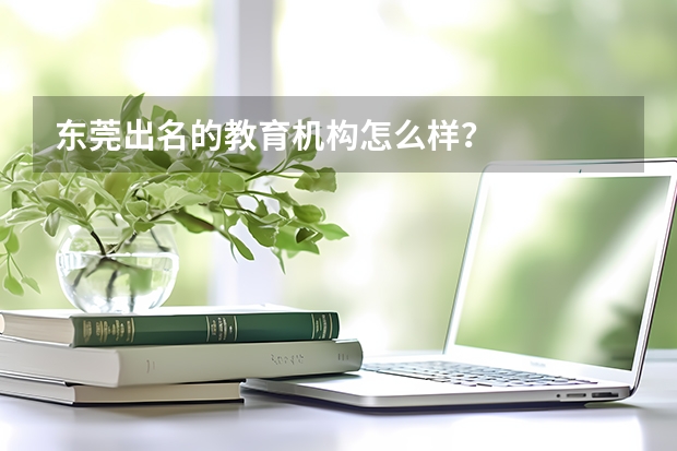 东莞出名的教育机构怎么样？