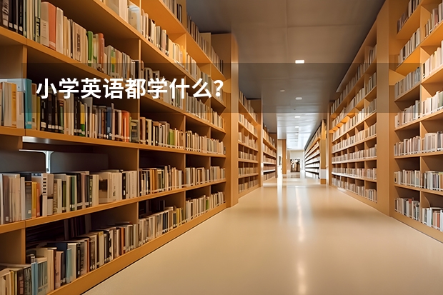 小学英语都学什么？