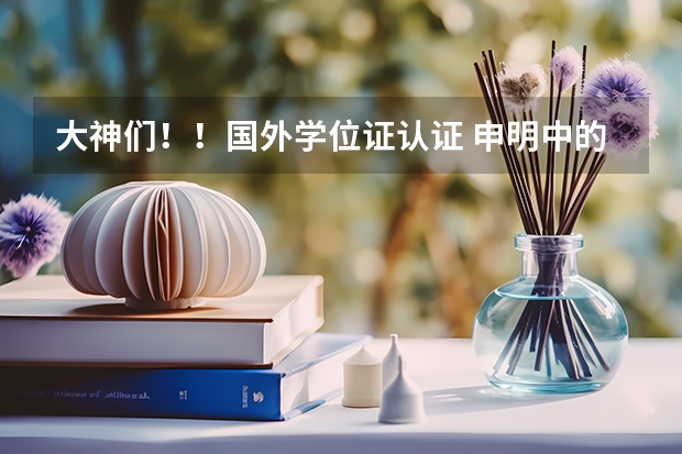 大神们！！国外学位证认证 申明中的（证书名称Qualification Type）怎么填