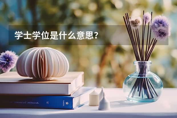 学士学位是什么意思？