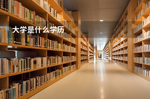 大学是什么学历