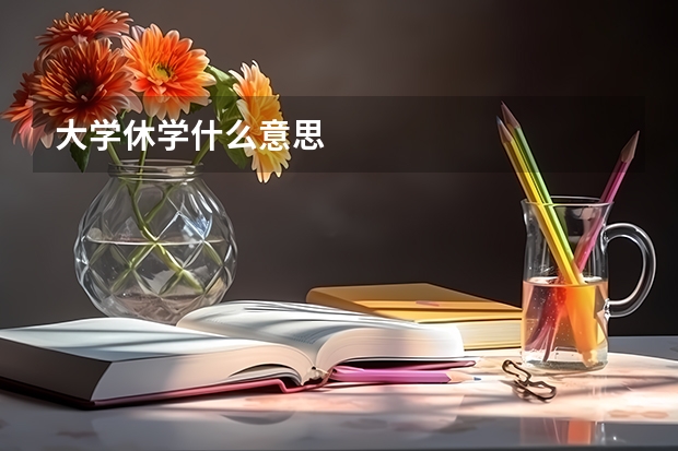 大学休学什么意思