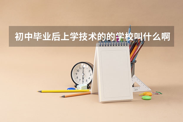 初中毕业后上学技术的的学校叫什么啊？ 职高还是中专？ 一直没搞清