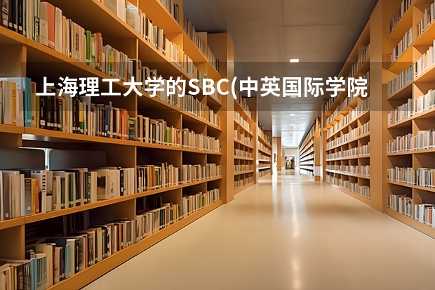 上海理工大学的SBC(中英国际学院)毕业文凭相当于国内什么学历?